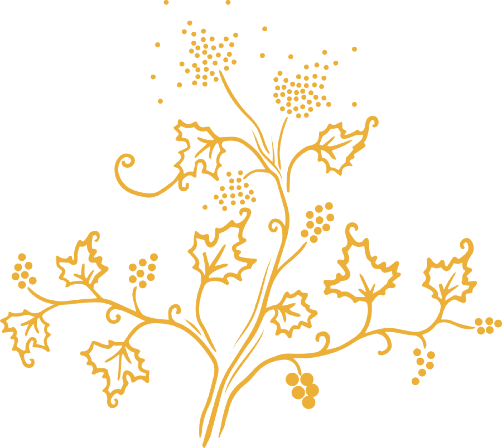 Ancien site Cognac Esprit Organic - deco pineau 1