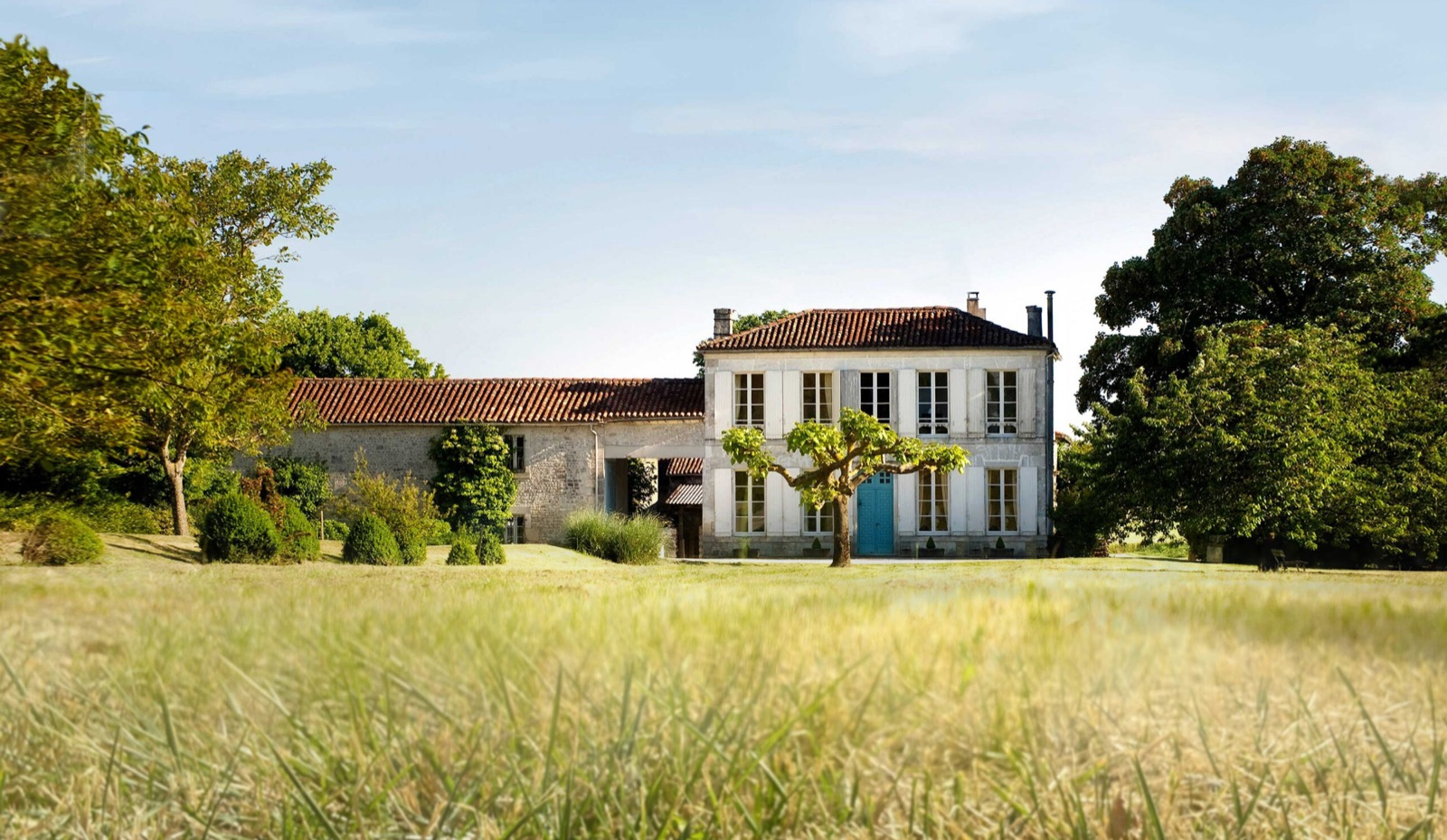 Ancien site Cognac Esprit Organic - domaine scaled