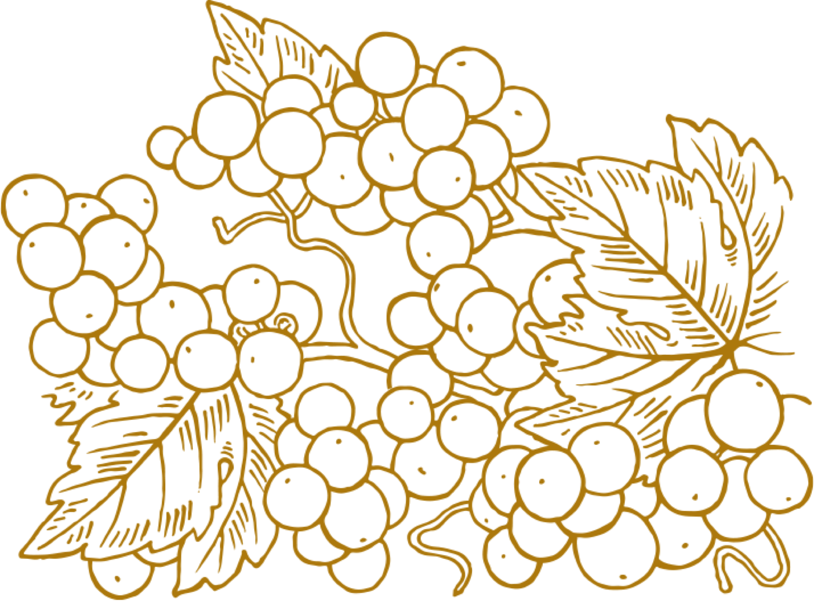 Ancien site Cognac Esprit Organic - img deco xxo