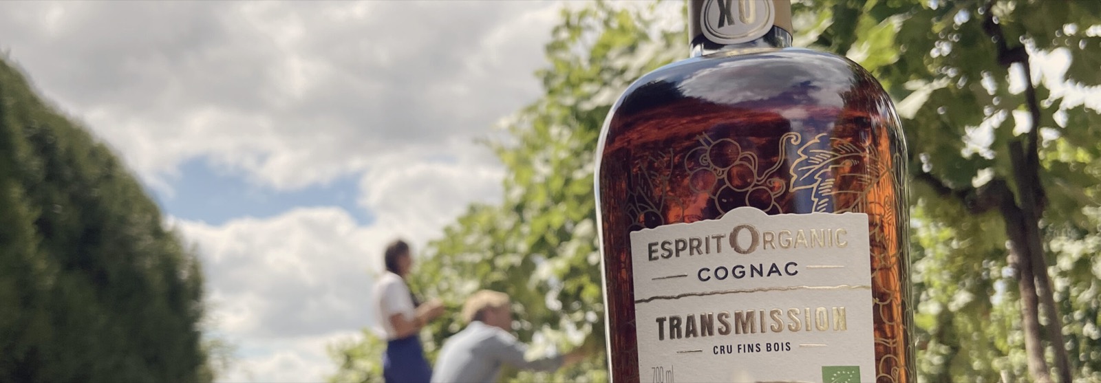 Ancien site Cognac Esprit Organic - img home 01 scaled