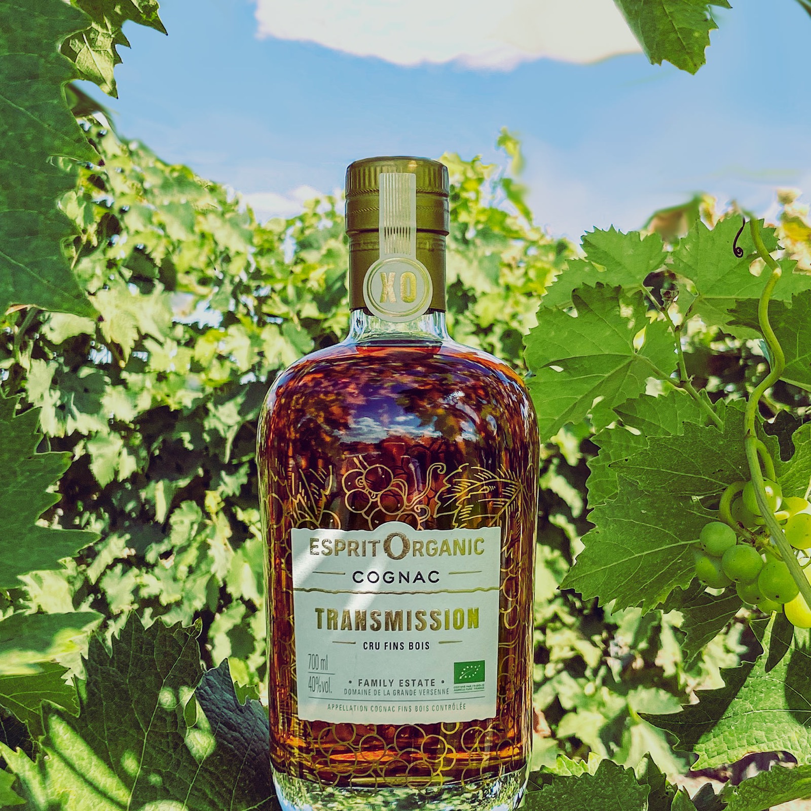 Ancien site Cognac Esprit Organic - img prod transmission 02