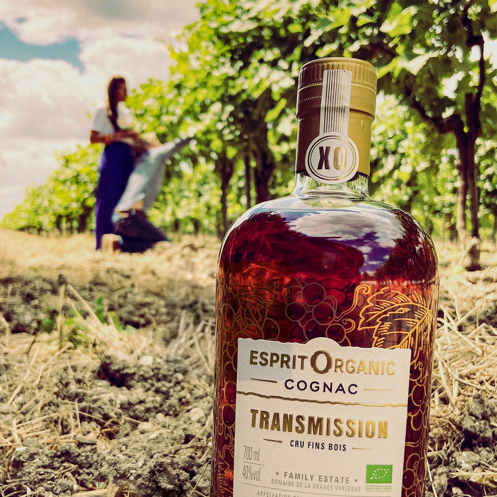 Ancien site Cognac Esprit Organic - img prod transmission 03