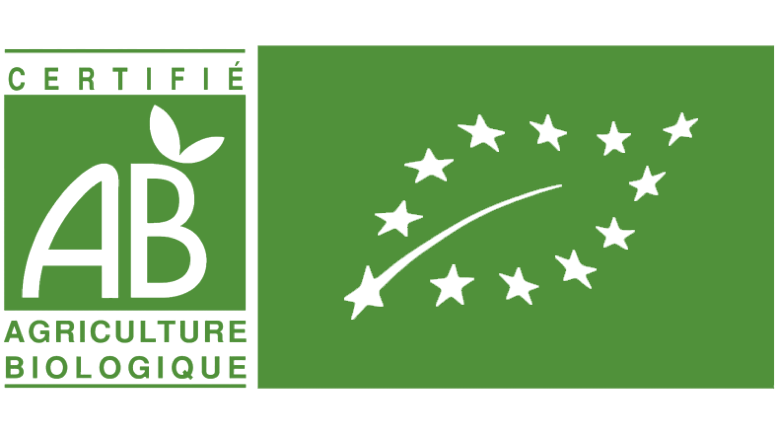 Ancien site Cognac Esprit Organic - logo bio home